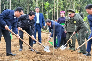 El presidente de Vietnam, Luong Cuong, y delegados plantan un arbolito en la ceremonia.