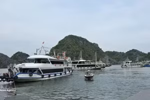 Barcos en el muelle turístico de Cai Beo esperan recoger a turistas que visitan la bahía de Lan Ha. (Foto: VNA)
