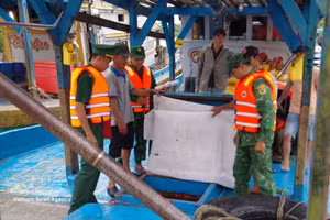 Los guardias fronterizos de la provincia de Dong Thap realizan inspecciones y verificaciones de los buques pesqueros antes de que zarpen. (Foto: VNA)