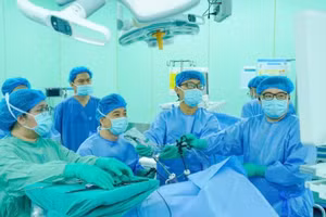 Foto de ilustración. (Fuente: VNA)