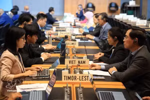 Los delegados en la sesión. (Foto: VNA)