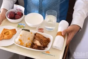 Vietnam Airlines incorpora sabores estivales de la gastronomía nacional. (Foto: Nhan Dan)