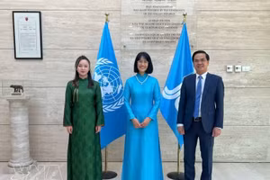 La embajadora de Vietnam en Italia, Nguyen Phuong Anh (centro), asume el cargo de representante permanente de Hanói ante el IFAD. (Foto: VNA)