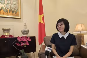 La embajadora Ton Thi Ngoc Huong, jefa de la misión permanente de Vietnam ante la Asean. (Foto: VNA)