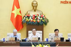 El presidente de la Asamblea Nacional de Vietnam, Tran Thanh Man (centro), en la sesión. (Foto: VNA)