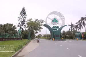 Nam Cau Kien, un modelo económico privado típico de la ciudad de Hai Phong, fue seleccionado por la Organización de las Naciones Unidas para el Desarrollo Industrial como uno de los 37 parques industriales participantes en el Programa Global de Parques Eco-Industriales. (Foto: VNA)