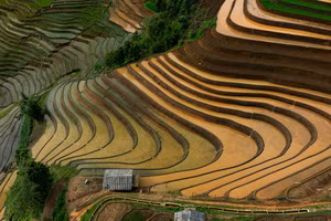 [Foto] Arrozales inundados de Mu Cang Chai: un espejo natural de los paisajes estivales