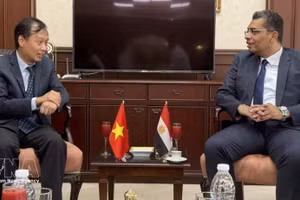 El embajador de Vietnam en Egipto, Nguyen Nam Duong y el gobernador de la provincia egipcia del Mar Rojo, Walid Al Barqi (Foto: VNA)