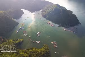 Con su majestuoso paisaje, el embalse hidroeléctrico de Hoa Binh se ha convertido en un destino imperdible para los turistas en la provincia de Phu Tho. (Foto: VNA)