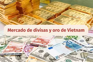 Infografía: Mercado de divisas y oro de Vietnam - 13 de junio de 2025