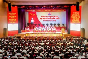 [Vídeo] Clausuran primera Asamblea del Comité del Partido en provincia de Gia Lai