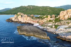 Hang Rai se encuentra dentro del Parque Nacional Nui Chua (comuna de Vinh Hai, provincia de Khanh Hoa). (Foto: VNA)
