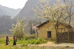 Una casa tradicional hmong en la provincia de Ha Giang. (Foto: Nhan Dan)