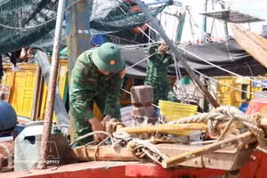 Guardias fronterizos ayudan a los pescadores a evitar el tifón Mayak. (Foto: VNA)