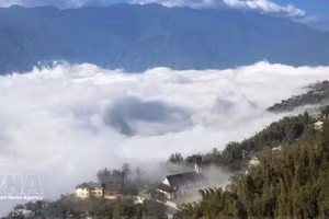 El majestuoso paisaje natural y la serena belleza de Sa Pa envueltos en la niebla. (Foto: VNA)