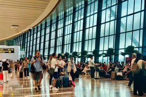El Aeropuerto de Tan Son Nhat prevé gestionar más de 1.000 vuelos diarios en la temporada alta del Tet (Foto: TIA)