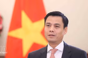 El viceministro vietnamita de Relaciones Exteriores Dang Hoang Giang responde a las preguntas de la prensa (Foto: VNA)