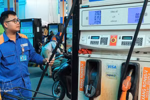 Foto de ilustración. (Foto: VNA)