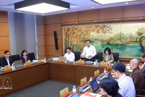 Los diputados de la Asamblea Nacional de Vietnam discuten el proyecto de la Resolución 80-NQ/TW del Buró Político. (Foto: VNA)