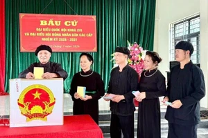 Los votantes de la etnia Tay en la aldea de Na O, en la comuna de An Lac, provincia de Bac Ninh, emitieron sus votos el 15 de marzo. (Foto: VNA)
