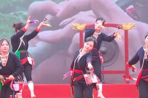 Preservan valores culturales del Festival del Santo de la Montaña de Tan Vien en la tierra Doai