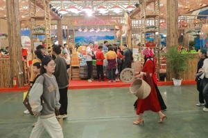 Foto de ilustración. (Fuente: VNA)