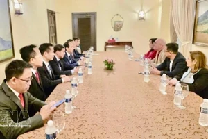 En la sesión de trabajo con el viceministro cubano de Educación Superior, Reynaldo Veláquez Zaldívar (Foto: VNA)