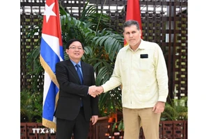 El viceprimer ministro vietnamita Ho Quoc Dung y el viceprimer ministro y ministro de Comercio Exterior e Inversión Extranjera de Cuba, Óscar Pérez-Oliva Fraga. (Foto: VNA)