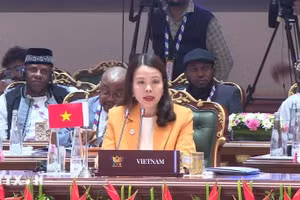 La viceministra de Asuntos Exteriores, Nguyen Minh Hang, interviene en la reunión ampliada de ministros de Asuntos Exteriores de los BRICS. (Foto: VNA)