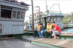 Foto ilustrativa. (Foto: VNA)