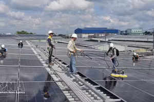 Muchas empresas y hogares de la provincia de Ca Mau utilizan energía solar para reducir costes. (Foto: VNA)