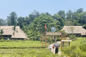 El espacio del pueblo Muong, ubicado en el complejo del “Aldea de Cultura y Turismo de las Etnias de Vietnam”, se ha convertido en uno de los más apreciados por visitantes y turistas. (Foto: VNA)