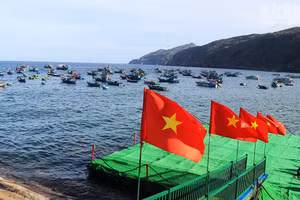[Foto] Aprovechan potencial del puerto pesquero de Nhon Ly para desarrollar el turismo marítimo