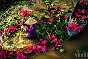 [Foto] Impresionantes imágenes del delta del Mekong en temporada de crecidas