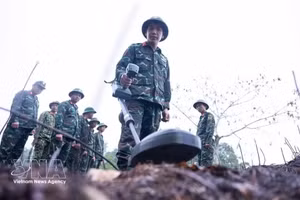 Los integrantes del equipo de búsqueda y recuperación de restos de mártires se forman y manejan con destreza los detectores de minas, garantizando la limpieza de explosivos en la zona antes de iniciar las labores de búsqueda. (Foto: VNA)