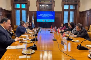 Panorama de la reunión. (Foto: VNA)