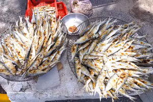 Las sardinas frescas, tras ser capturadas, se limpian, se colocan en parrillas y se asan a las brasas directamente en la playa. (Foto: VNA)