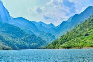 Contemplar belleza del río Nho Que al pie del paso Ma Pi Leng