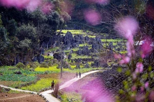 La belleza de la Meseta rocosa de Dong Van. (Foto: VNA)