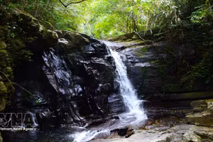 Las pequeñas cascadas y arroyos de Ngu Ho, enclavados entre las montañas y los bosques, crean un paisaje que combina delicadeza y fuerza. (Foto: VNA)