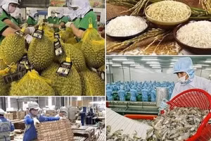 [Vídeo] Exportaciones vietnamitas de productos agroforestales y acuáticos consolidan su tendencia alcista