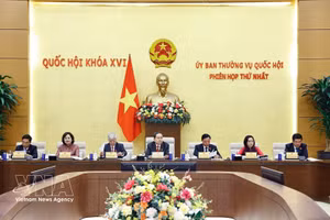 En la cita. (Foto: VNA)