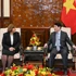 [Foto] Presidente vietnamita recibe a embajadora de Egipto
