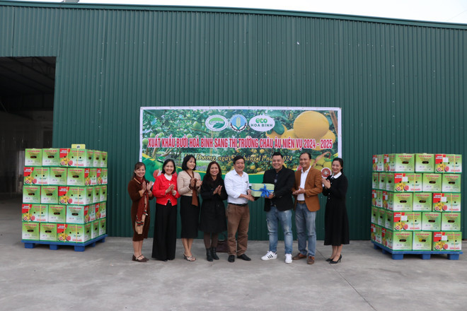 La provincia de Hoa Binh anuncia el primer envío de pomelos al mercado de la UE por vía marítima el 28 de noviembre de 2024. (Foto: VNA) La provincia de Hoa Binh anuncia el primer envío de pomelos al mercado de la UE por vía marítima el 28 de noviembre de 2024. (Foto: VNA)