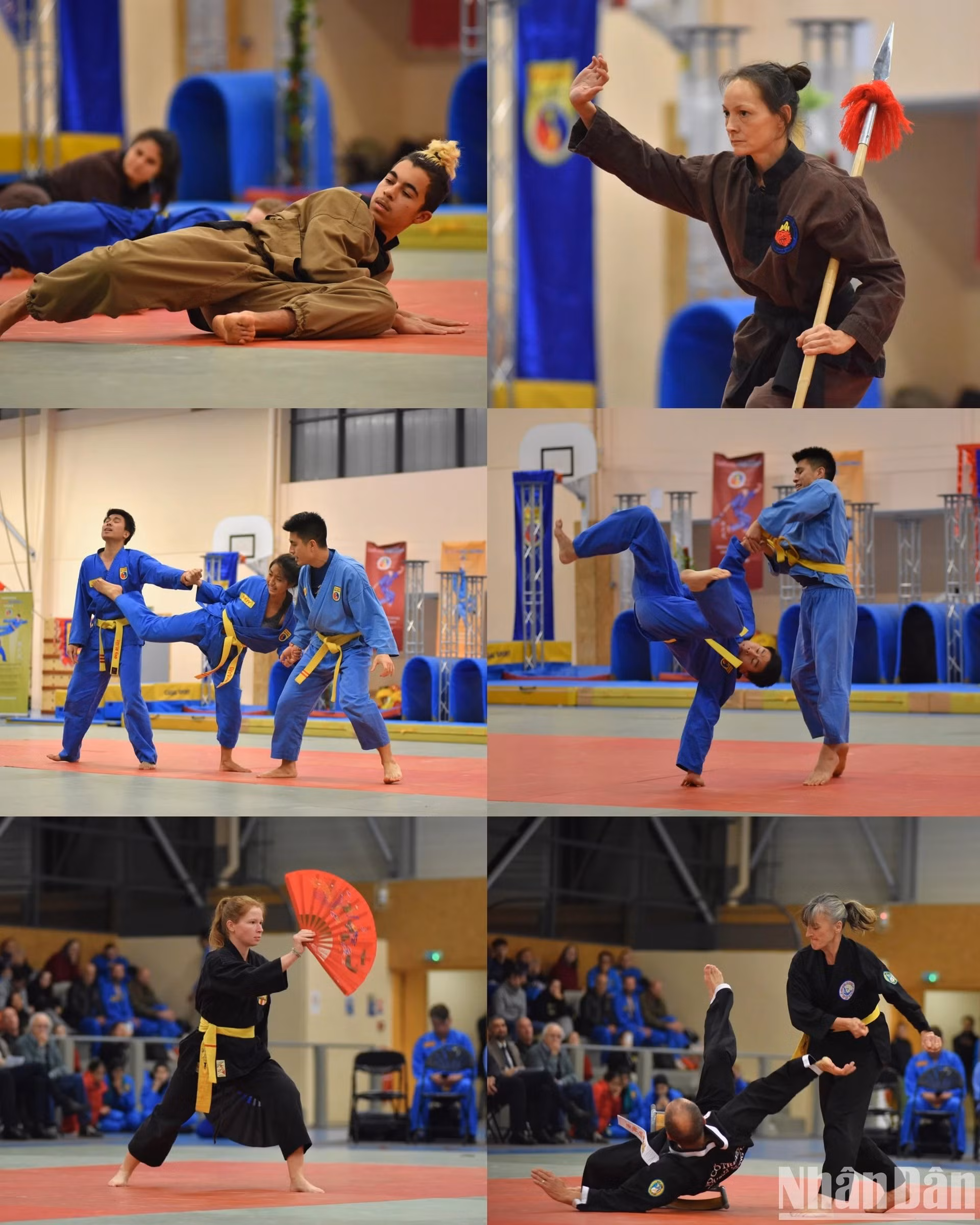Según Tran Nguyen Dao, presidente del Consejo de Maestros de Artes Marciales Vovinam-Viet Vo Dao, la participación de diferentes clubes miembros de la Federación Vietnamita de Artes Marciales Tradicionales en Francia evidencia la voluntad de la comunidad vietnamita en Francia de promover la cultura popular vietnamita en ese país europeo.