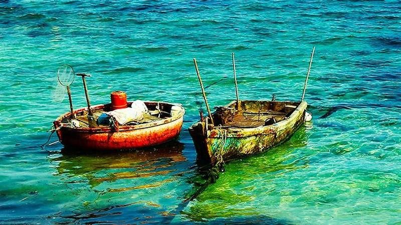 El verdor del musgo mezclado con el color del agua de mar en la isla de Ly Son, en la central provincia de Quang Ngai.