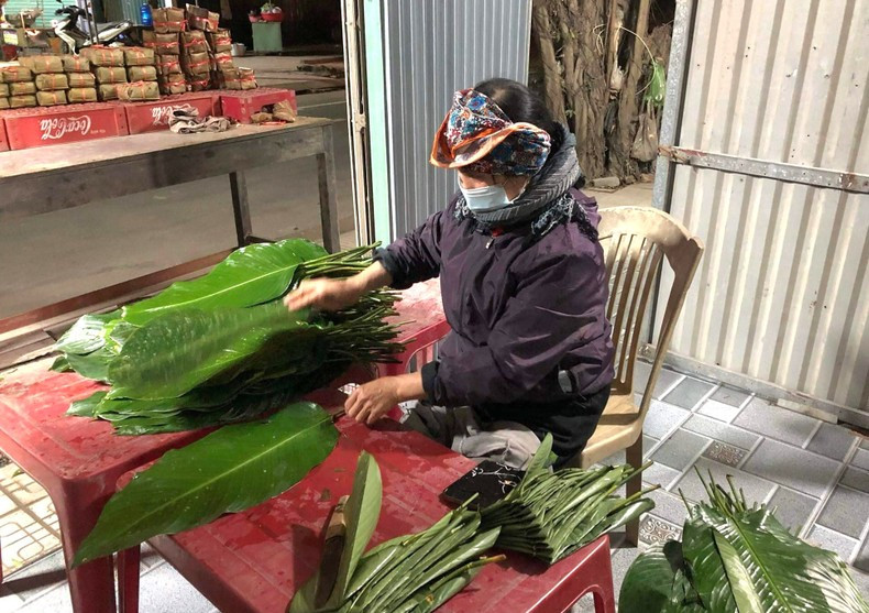 Las hojas “dong” (phrynium placentarium) con que se envuelve el “Banh chung” provienen de la provincia central de Thanh Hoa. Es necesario escoger hojas ni muy viejas ni muy jóvenes para darle un hermoso color verde y buen sabor al producto.