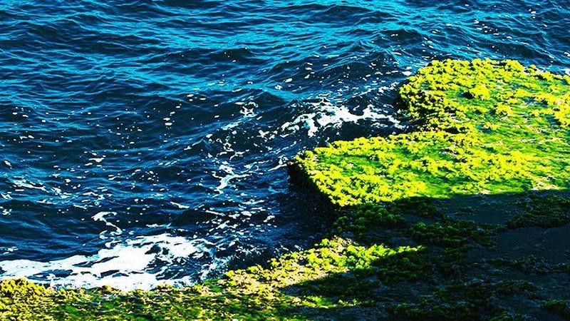 Rocas cubiertas de musgo verde escondidas bajo el agua cristalina en la cueva de Rai (Hang Rai), en la sureña provincia de Ninh Thuan.