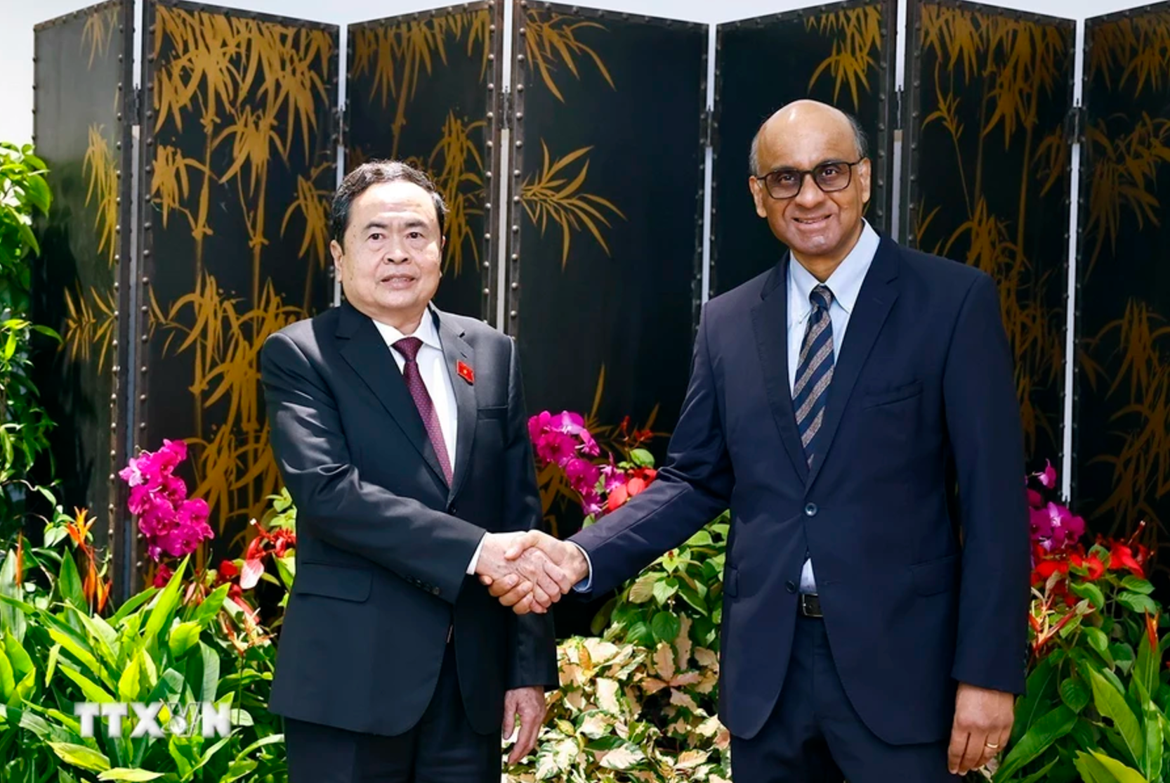 El titular de la ANV, Tran Thanh Man, y el presidente de Singapur, Tharman Shanmugaratnam. (Foto: VNA)