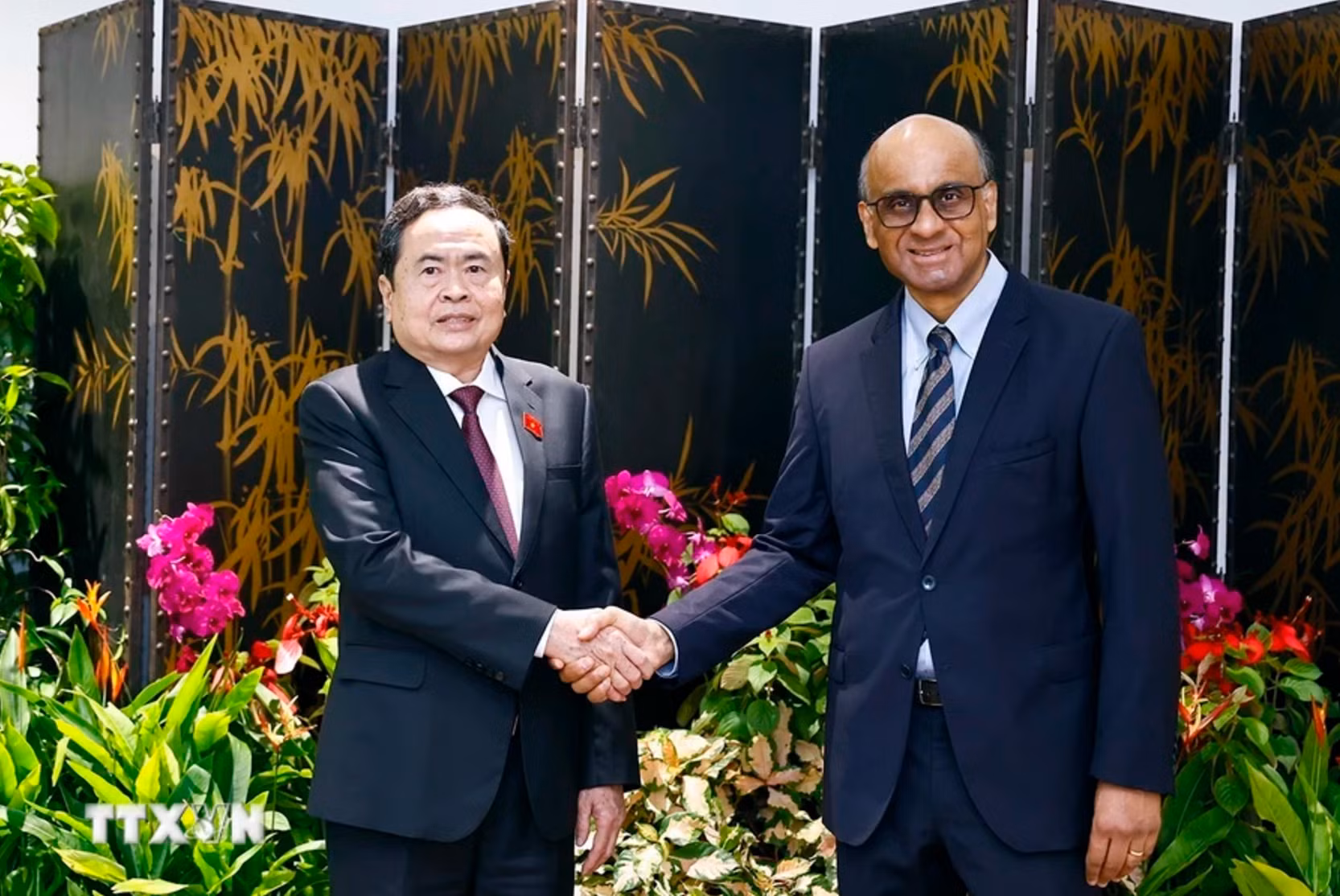 El titular de la ANV, Tran Thanh Man, y el presidente de Singapur, Tharman Shanmugaratnam. (Foto: VNA) El titular de la ANV, Tran Thanh Man, y el presidente de Singapur, Tharman Shanmugaratnam. (Foto: VNA)